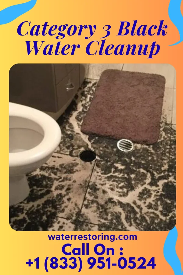 Category 3 Black Water Cleanup in Gervais, OR