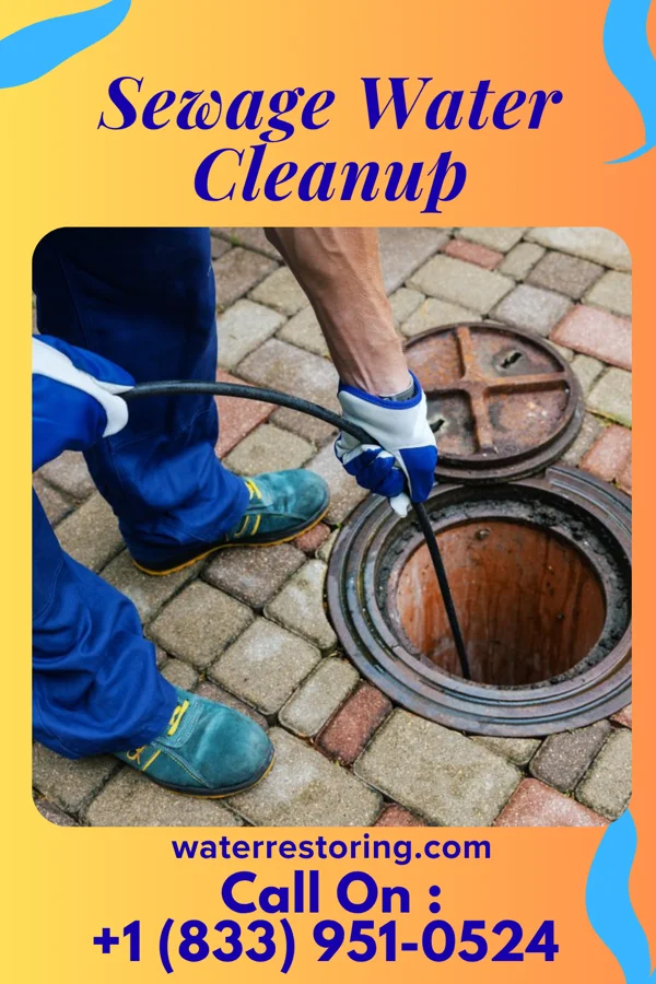 Sewage Water Cleanup in Gervais, OR